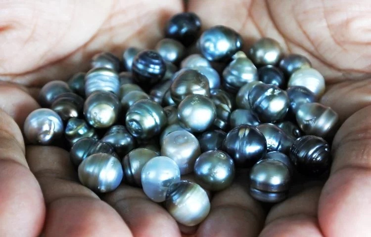 Do you want to know About Tahitian Pearls?