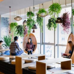 Air-Purifying Indoor Plants You Can Add to Your Office Design