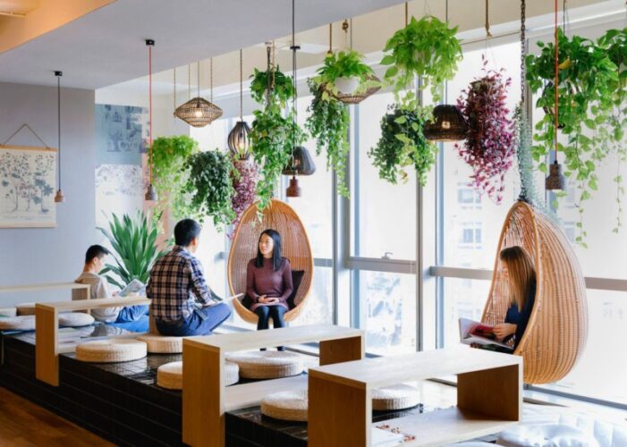 Air-Purifying Indoor Plants You Can Add to Your Office Design