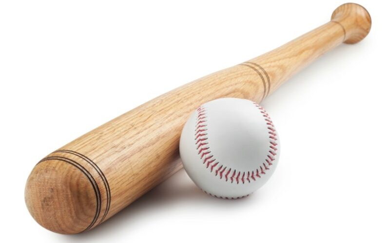 The Best Baseball Bat you can get for yourself