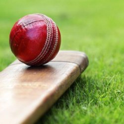 7 reasons why you can’t miss the fantasy cricket game 