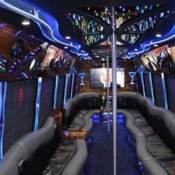 Party Bus Toronto Is A Great Option