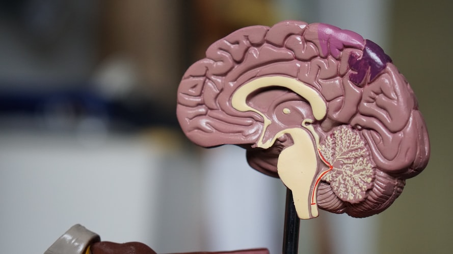 What are the Main Causes of Brain Injuries in Miami?