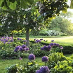 Garden Landscape Design: The Ultimate Guide For Creating A Beautiful Backyard