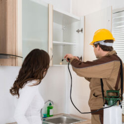 Why is Pest Control Service Evident for Getting the Best Results?