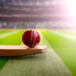 The Causes of the Popularity of Cricket Betting in India: Vital Information