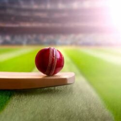 The Causes of the Popularity of Cricket Betting in India: Vital Information