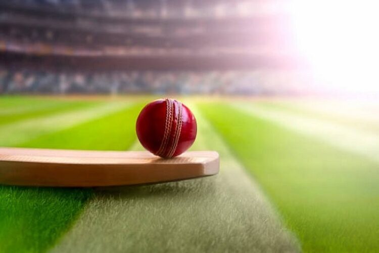The Causes of the Popularity of Cricket Betting in India: Vital Information