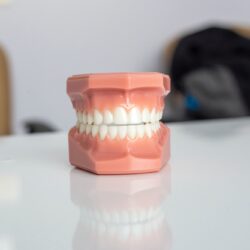 Things Denture Wearers Must Understand