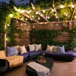 Landscape Spot Light Magic: Transforming Outdoor Spaces with Tree Uplighting
