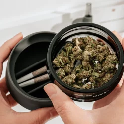 Why weed accessories are essential for every connoisseur?