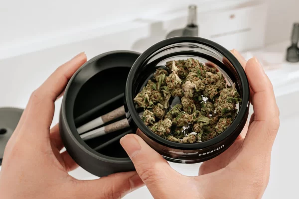 Why weed accessories are essential for every connoisseur?