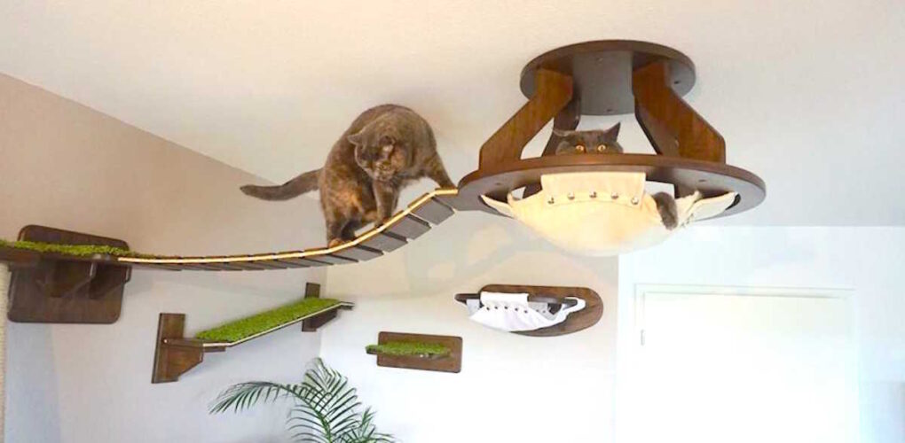 How to Set Up a Cat Gym at Home