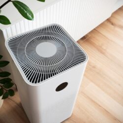 Why an Air Purifier is a Must-Have for Every Home in 2025