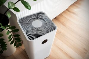 Why an Air Purifier is a Must-Have for Every Home in 2025