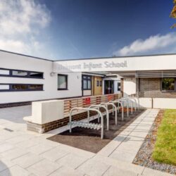 Primary School Options