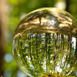 Lenders Advisory: Supporting Low‑Carbon Solutions with Confidence