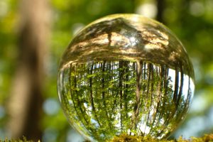 Lenders Advisory: Supporting Low‑Carbon Solutions with Confidence